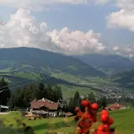 Bifeis Huette Altenmarkt im Pongau