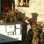 Bifeis Huette Altenmarkt im Pongau