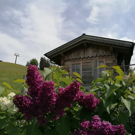 Bifeis Huette Appartement *