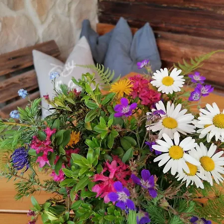 Bifeis Huette アパート *