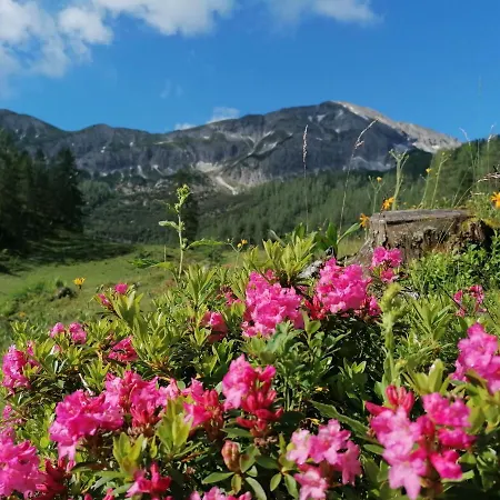 Bifeis Huette アパート