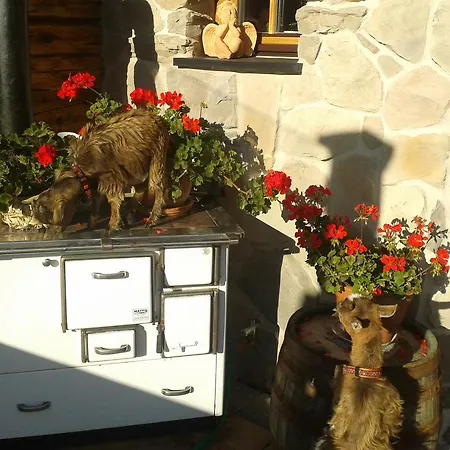 Bifeis Huette Altenmarkt im Pongau