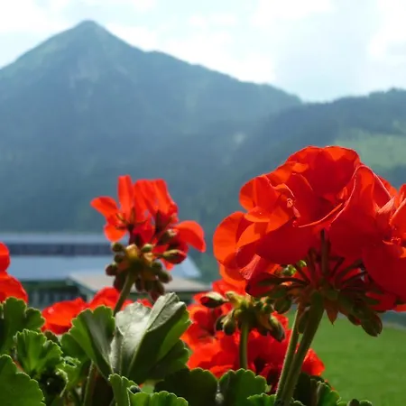 Bifeis Huette アパート