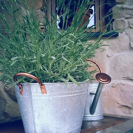 Bifeis Huette アルテンマルクト・イム・ポンガウ