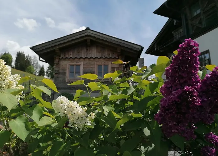 Bifeis Huette Altenmarkt im Pongau