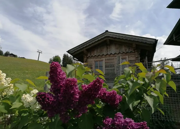 Bifeis Huette Lejlighed *