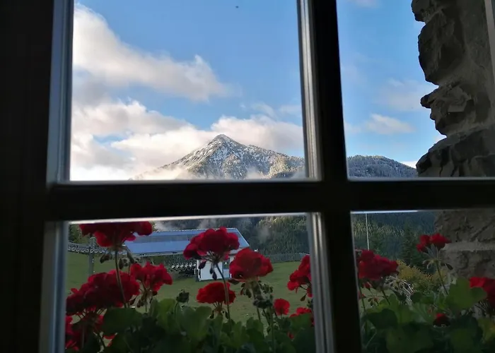 Lejlighed Bifeis Huette *