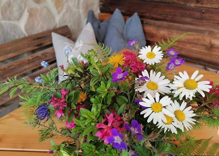 Bifeis Huette Appartement *