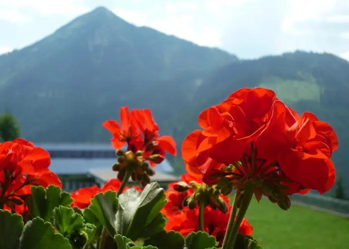 Bifeis Huette Lejlighed