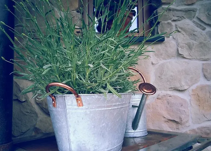 Bifeis Huette Altenmarkt im Pongau